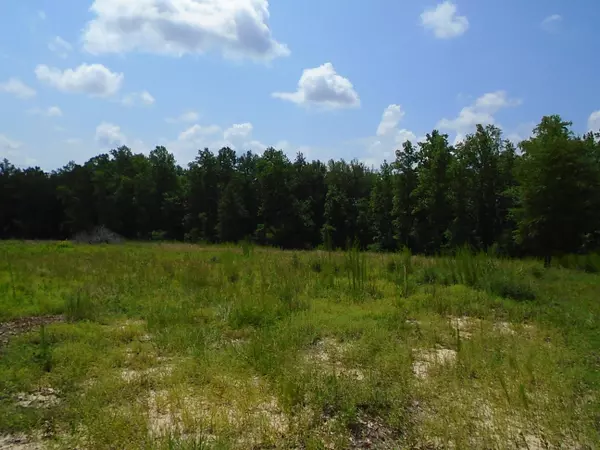 27.82 ACRE ADAMS RANCH ROAD, Mossy Head, FL 32434