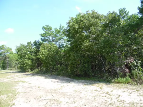 Freeport, FL 32439,LOT 2 COASTAL BREEZE