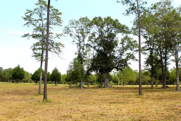 Defuniak Springs, FL 32433,20AC Christian Life Road