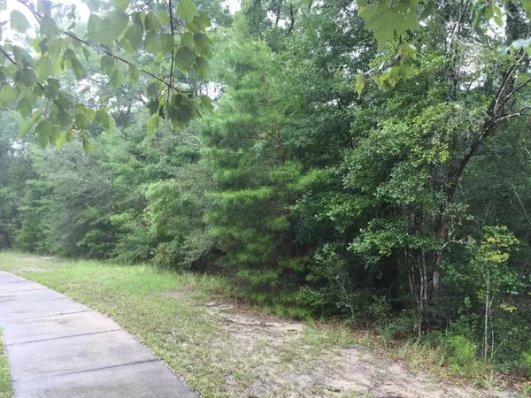 Freeport, FL 32439,000 Lafayette Creek