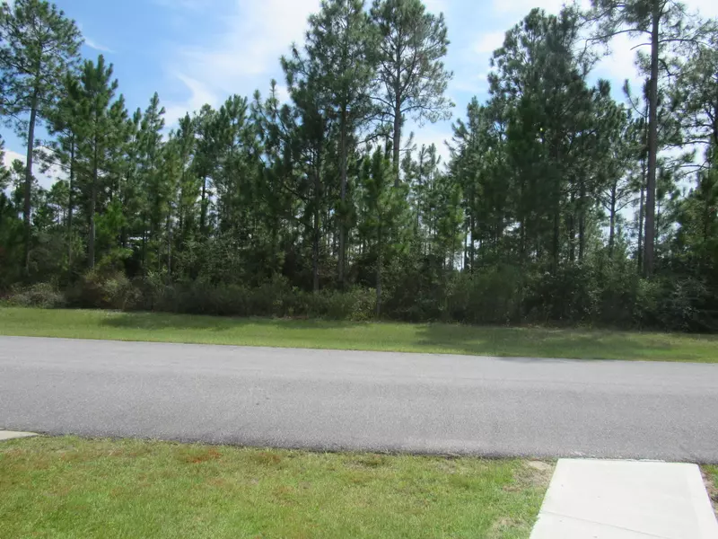 LOT 20B BRUSHED DUNE Circle, Freeport, FL 32439