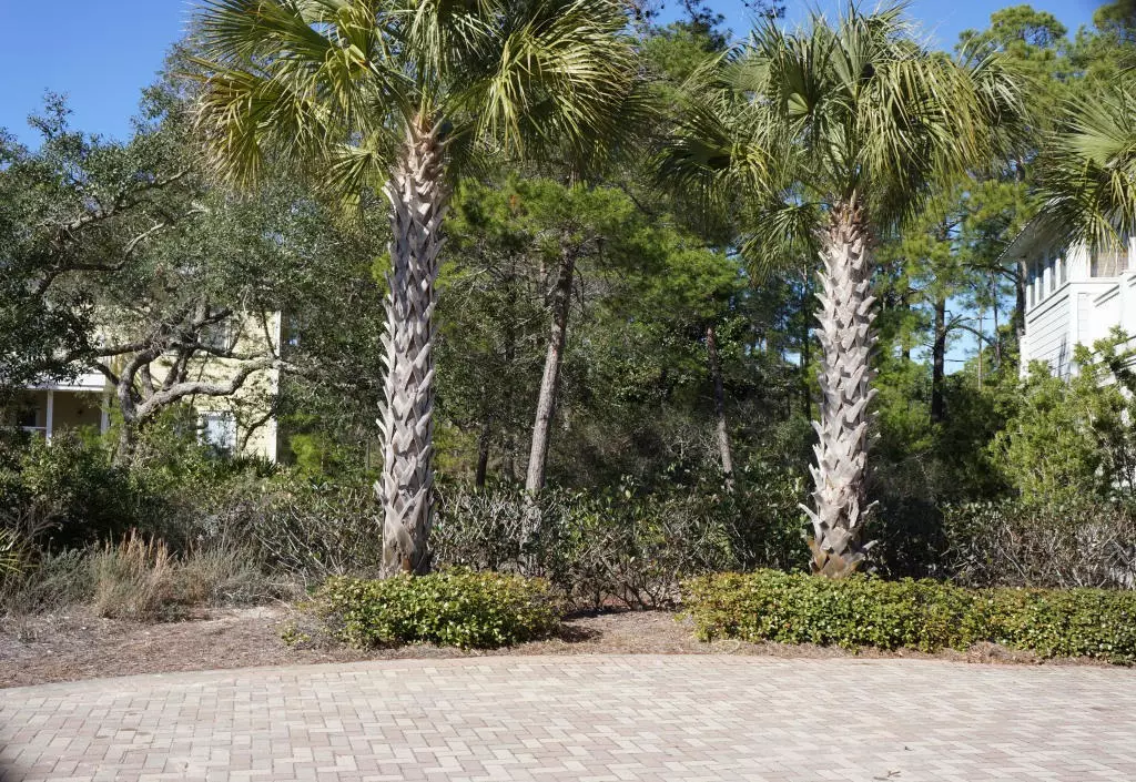 Santa Rosa Beach, FL 32459,Lot 9 TRESCA LAKE Court