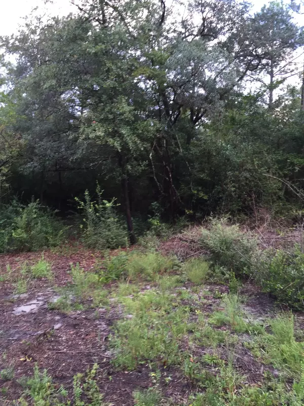 Milton, FL 32570,Lot 5 Kuethes Kove