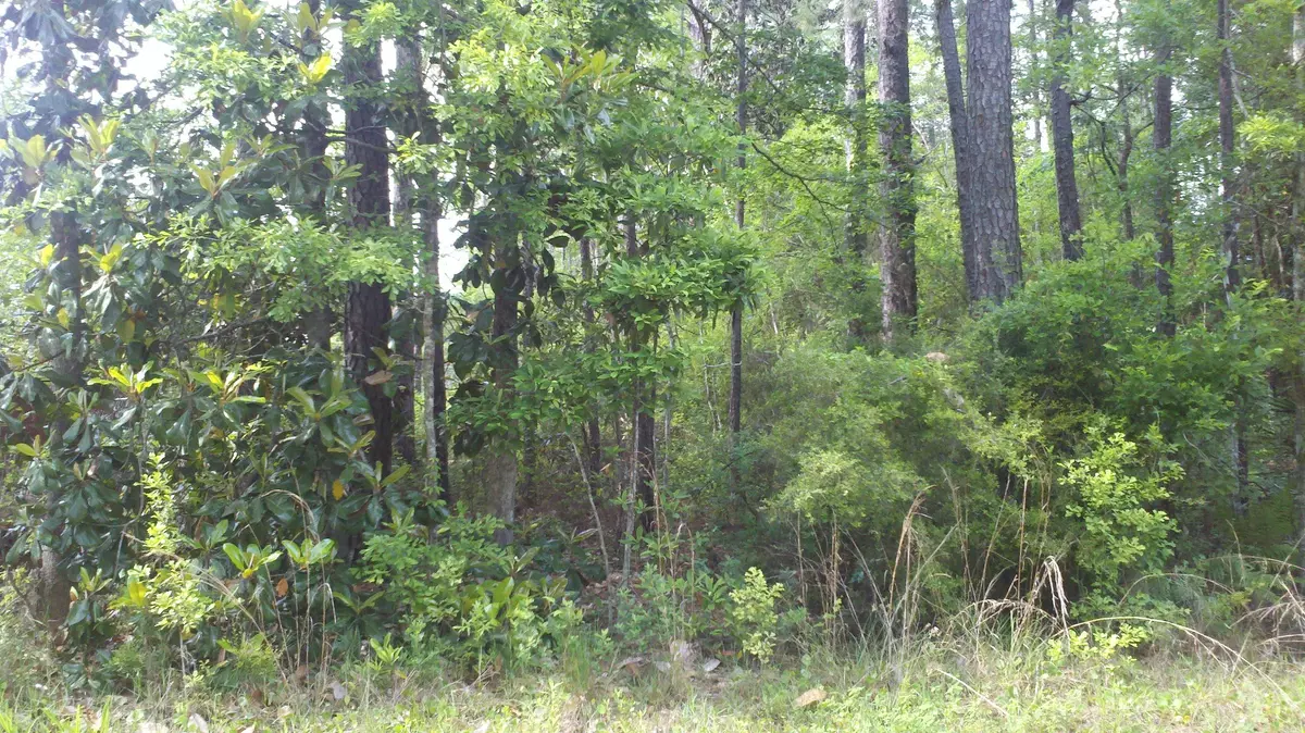 Freeport, FL 32439,Lot 21 Jones Drive