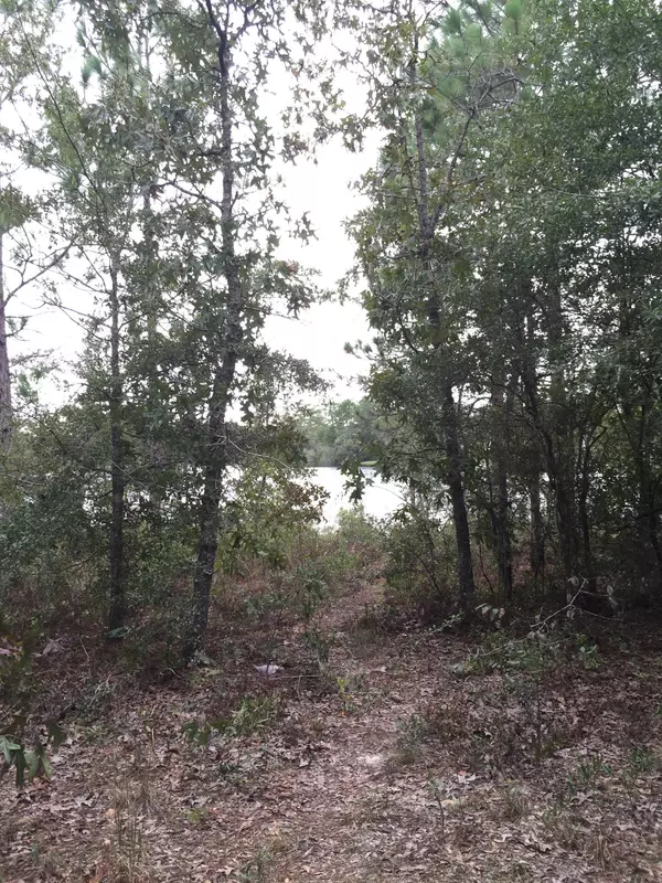 Defuniak Springs, FL 32433,0.45 Ac W Renoir Road