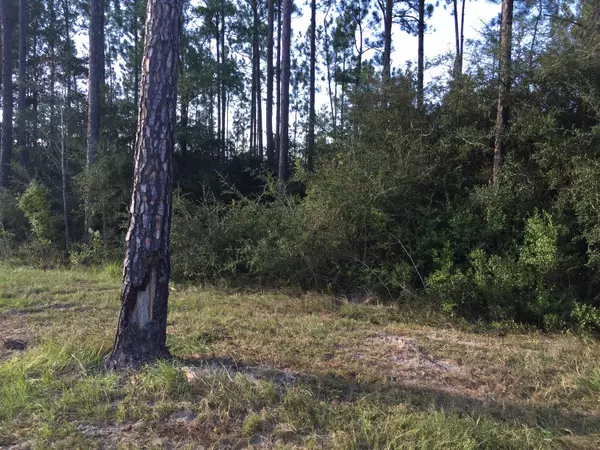 Defuniak Springs, FL 32433,C-17 Show Horse Way