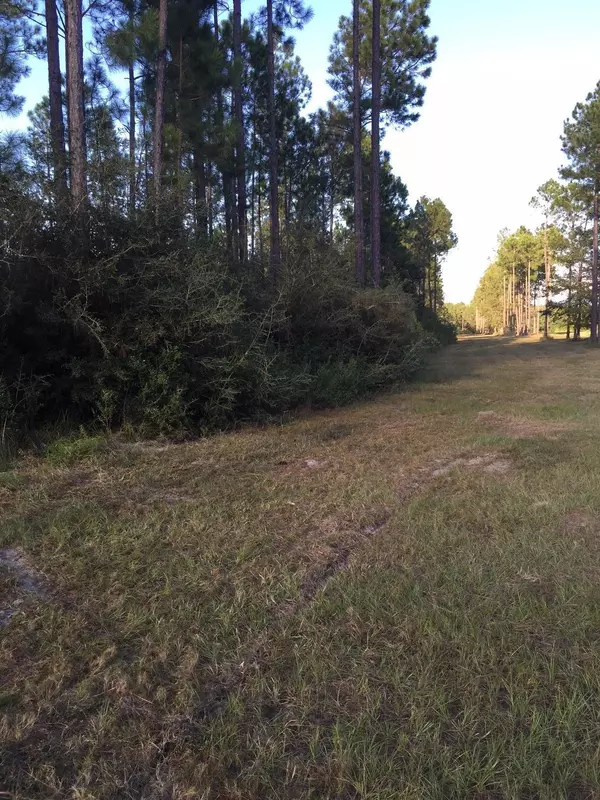 Defuniak Springs, FL 32433,C-17 Show Horse Way