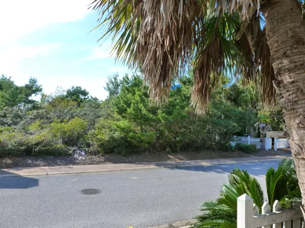 Santa Rosa Beach, FL 32459,LOT 56 DRAPER Lane