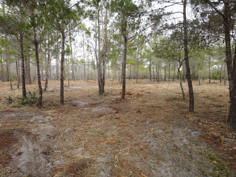 Lot 7 Austinwood Lane, Santa Rosa Beach, FL 32459