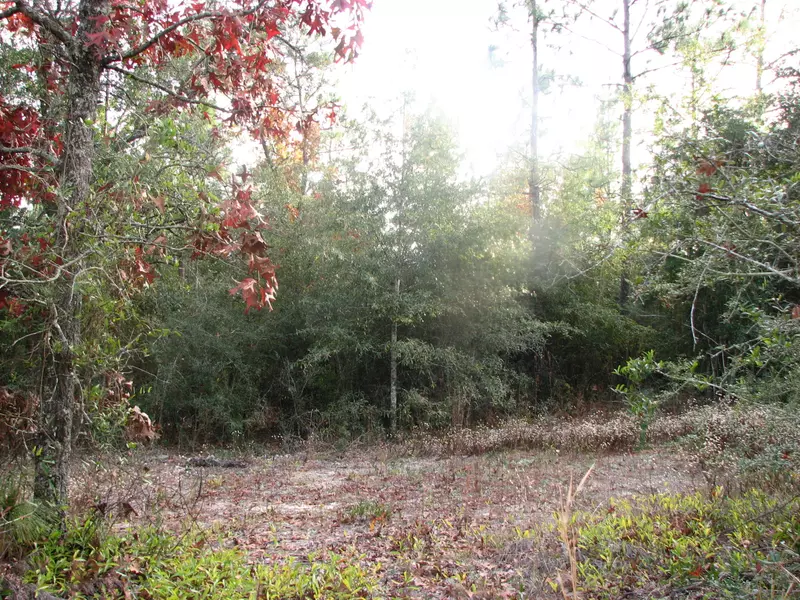 TBD Andros Road, Holt, FL 32564