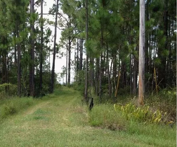 Santa Rosa Beach, FL 32459,Lot 3 WHISPER Lane