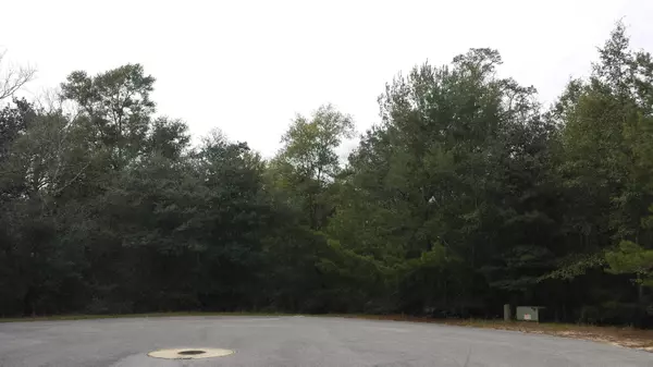 Freeport, FL 32439,Lot 4 BlkC Rosewood Lane