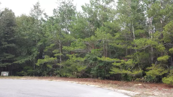 Freeport, FL 32439,Lot 5 BlkC Rosewood Lane