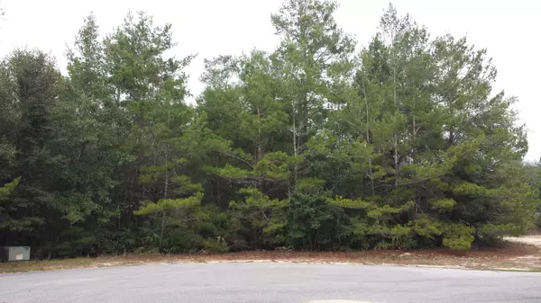 Freeport, FL 32439,Lot 5 BlkC Rosewood Lane