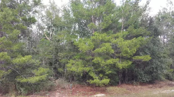 Freeport, FL 32439,Lot 7 BlkF Magnolia Landing Drive