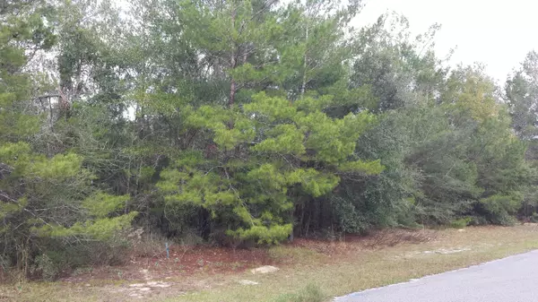 Freeport, FL 32439,Lot 7 BlkF Magnolia Landing Drive