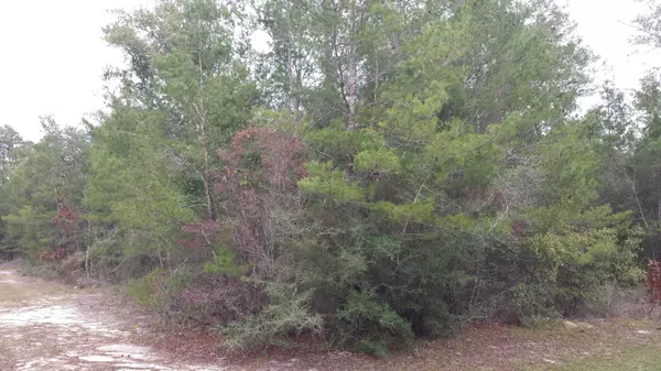 Freeport, FL 32439,Lot 9 BlkC Hickory Loop Drive