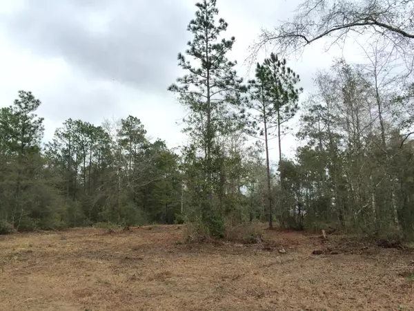 Defuniak Springs, FL 32435,2 acres Co Hwy 280 A