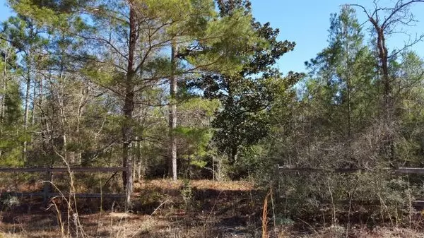 Defuniak Springs, FL 32433,Lot 10 MOULTRIE Drive