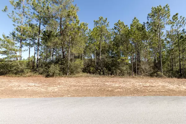 Freeport, FL 32439,LOT 23 GULF PINES Court