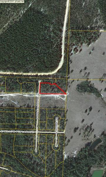 L1BLK13 N APPLE BLOSSOM Lane, Defuniak Springs, FL 32433