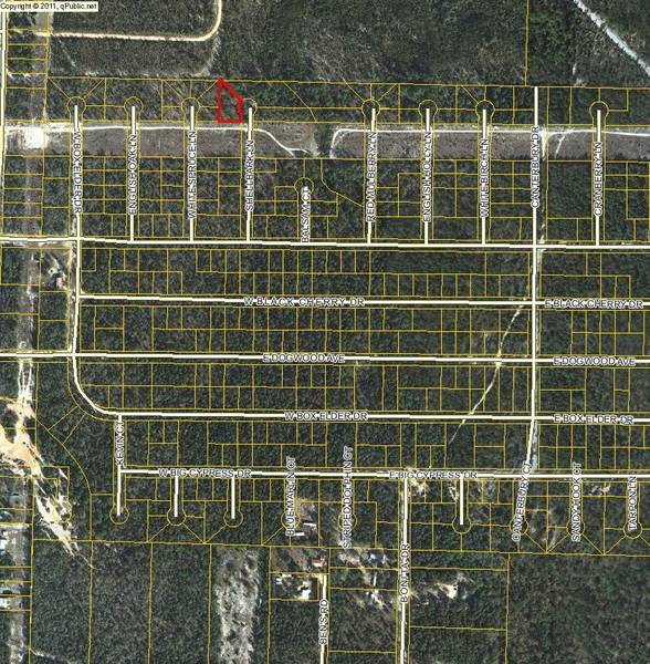 LOT1BLK4 SHELLBARK Lane, Defuniak Springs, FL 32433