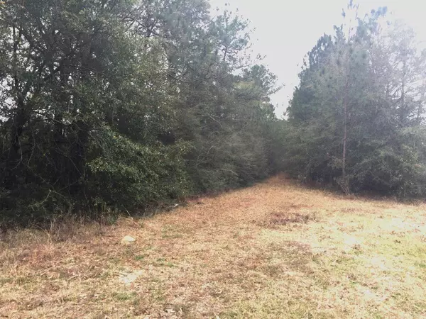 Laurel Hill, FL 32567,25 ac N HWY 85