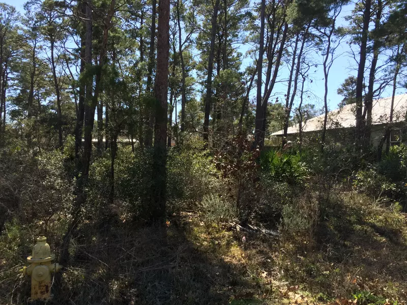 Lot 3 Walnut Street, Santa Rosa Beach, FL 32459