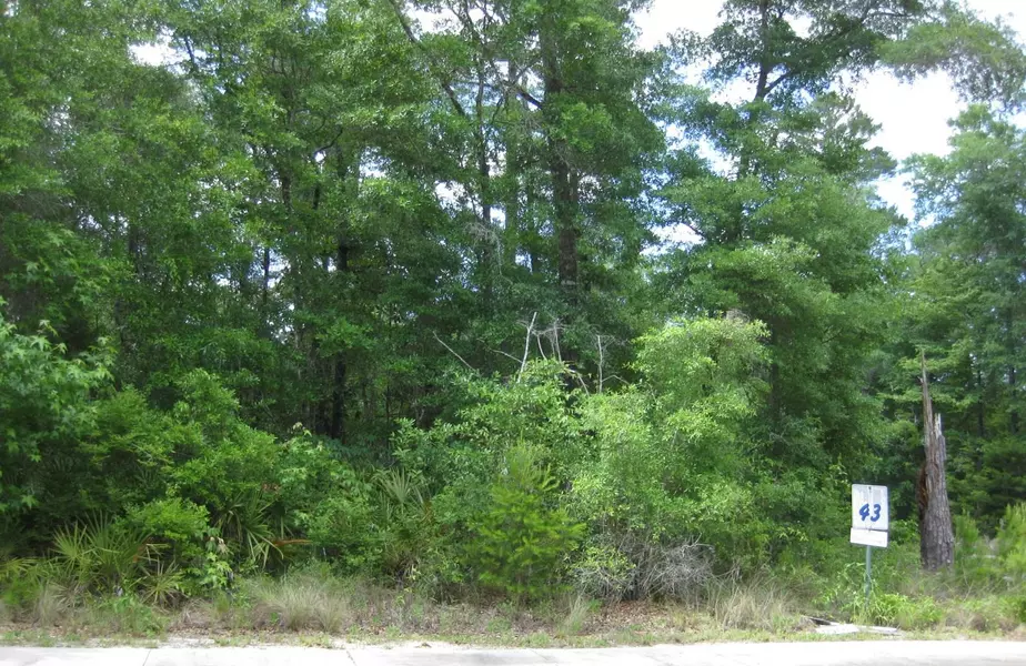 Lot 43 Oyster Boulevard, Freeport, FL 32439