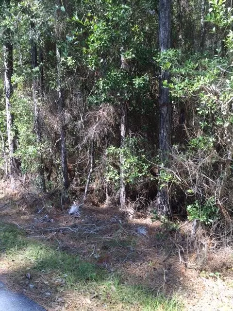 Point Washington, FL 32459,Lot 17 E Wild Blueberry Way