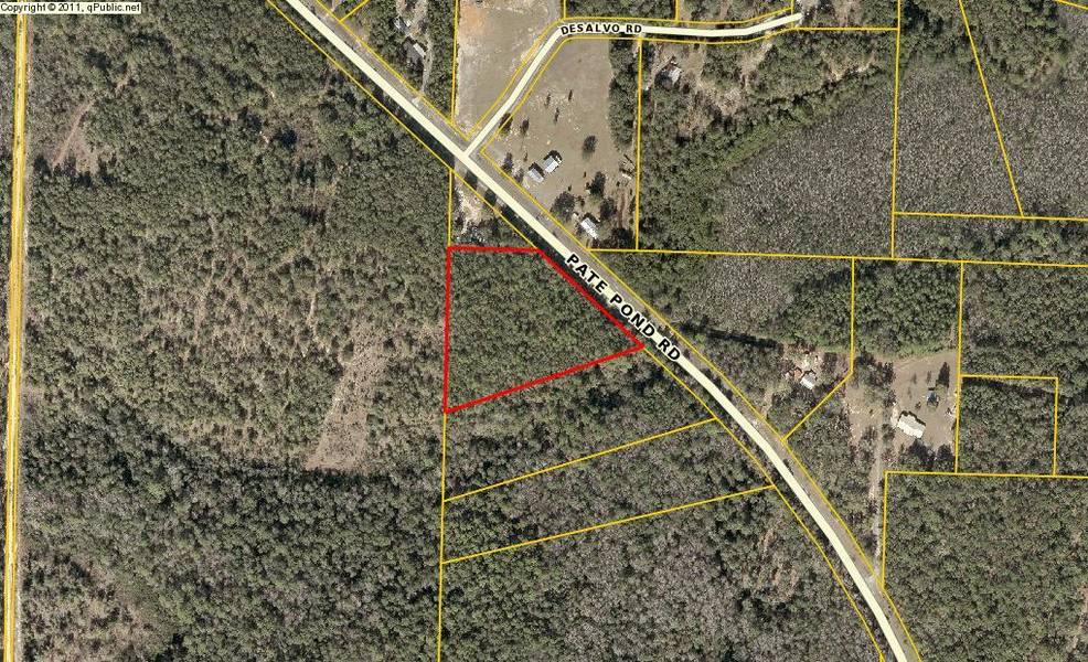 0 PATE POND Road, Caryville, FL 32427