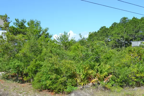 Santa Rosa Beach, FL 32459,LOT 32 BAIRD Road