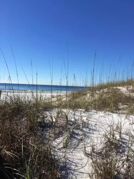 Santa Rosa Beach, FL 32459,70 TRAE Lane