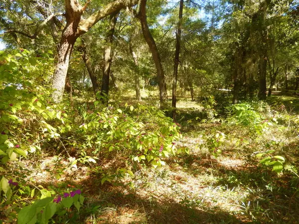 TBD Bay Street Lot Street, Shalimar, FL 32579