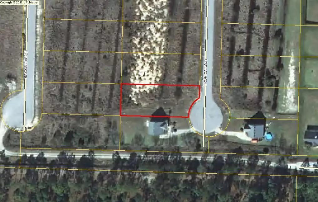 Freeport, FL 32439,Lot 37 Tropical Way