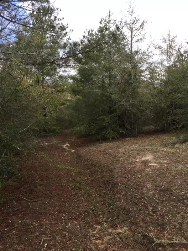 Laurel Hill, FL 32567,5.23 AC Ries Road