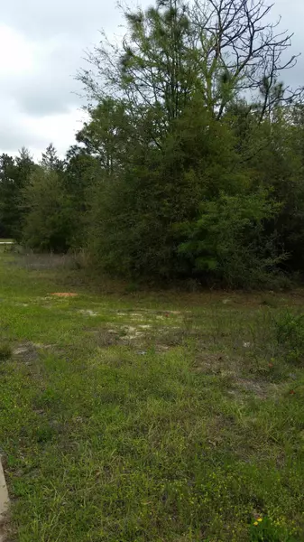 YTBD Lot D Ester Terrace, Crestview, FL 32539