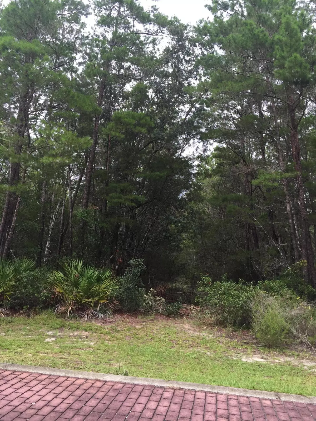 Santa Rosa Beach, FL 32459,Lot 26 Devlieg Ave (Grayton Bayou)