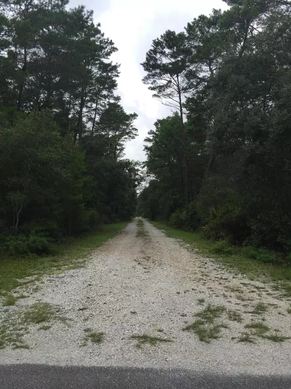 Santa Rosa Beach, FL 32459,Lot 26 Devlieg Ave (Grayton Bayou)