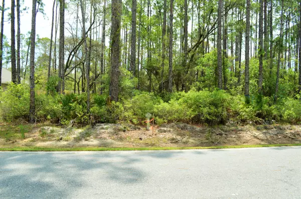 Point Washington, FL 32459,Lot 56 WOODBRIER Drive