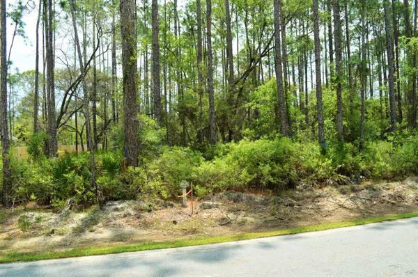 Point Washington, FL 32459,Lot 56 WOODBRIER Drive