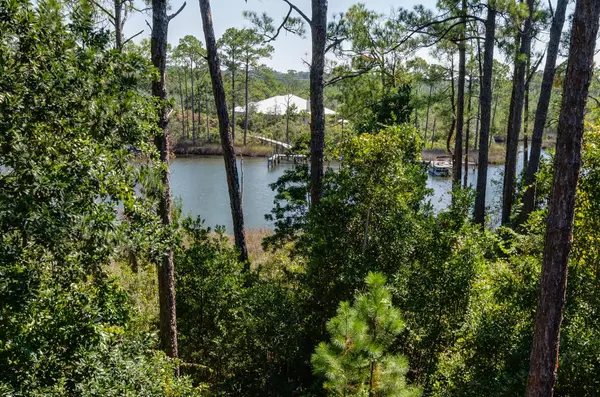 LOT 42 Grand Flora Way, Santa Rosa Beach, FL 32459