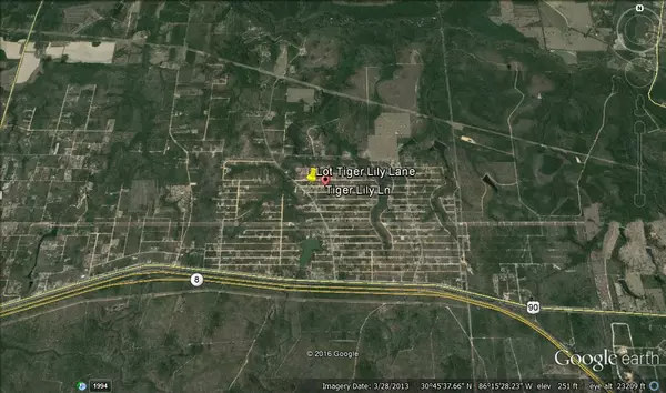 Defuniak Springs, FL 32433,73 E TIGER LILY Lane