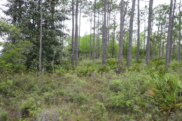 Santa Rosa Beach, FL 32459,636 East Royal Fern Way  #Lot 29