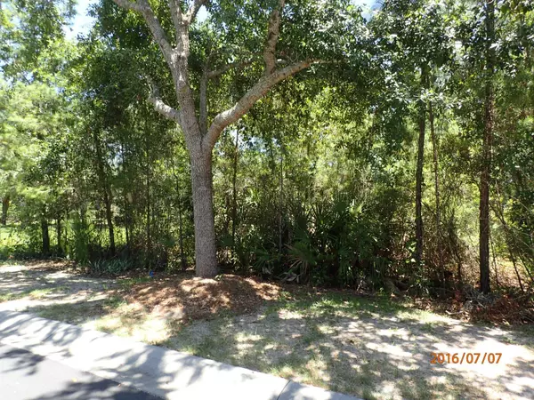 Lot 41 Grand Flora Way, Santa Rosa Beach, FL 32459