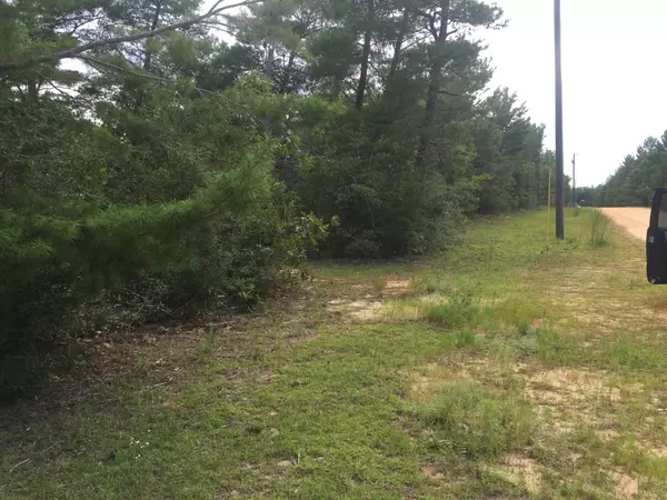 Defuniak Springs, FL 32433,Lot 42 PONDEROSA Boulevard