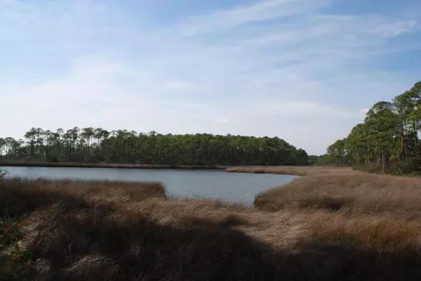 LOT W-2 Teal Court, Santa Rosa Beach, FL 32459