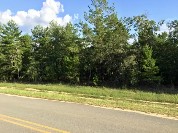 Lots 1&2 West Dogwood Avenue, Defuniak Springs, FL 32433