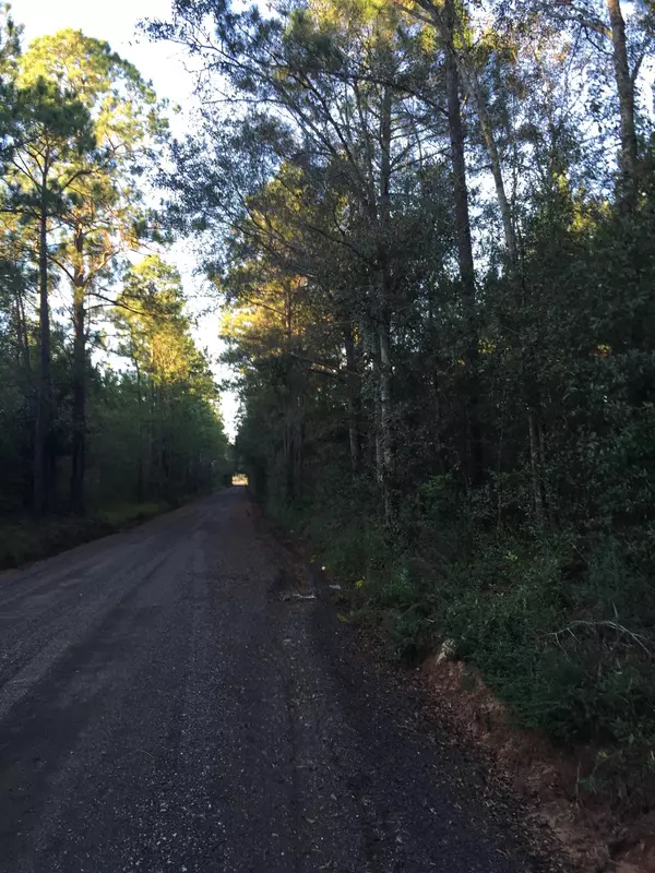 Paxton, FL 32538,40 AC XXX Bear Bay Flats Road