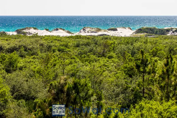 Santa Rosa Beach, FL 32459,136 Lamon Drive